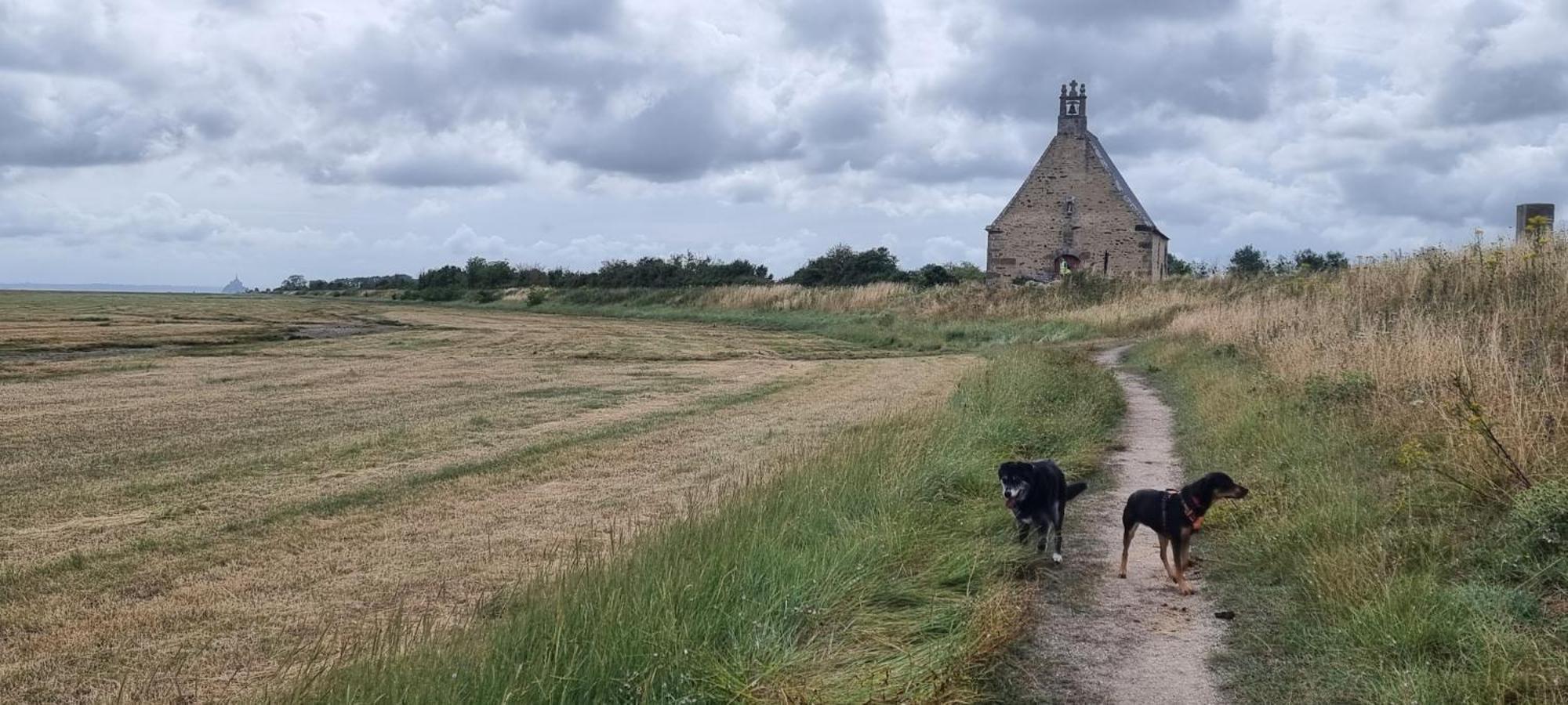 Chambres d'Hôtes Ferme de la Baie Roz-sur-Couesnon Extérieur photo